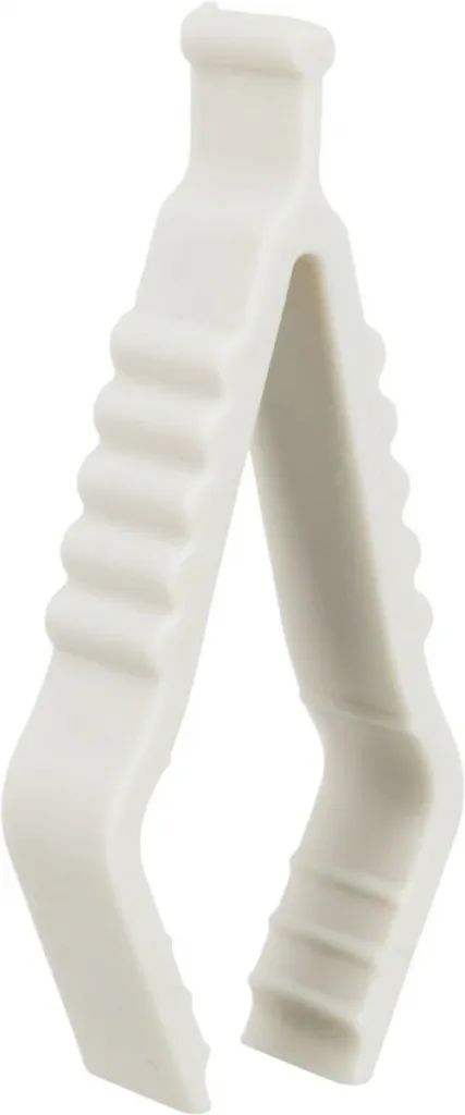 Calcium-Stein mit Sepia